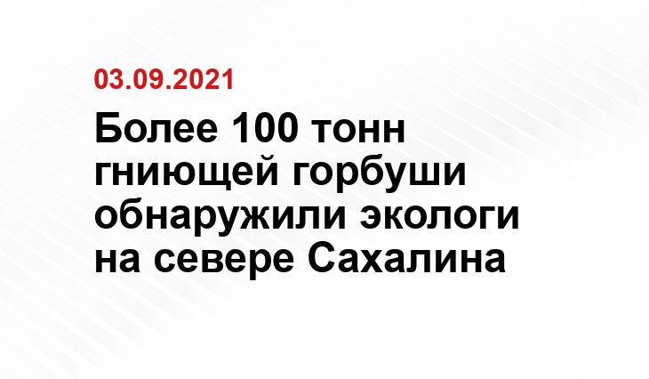 Эковахта Сахалина