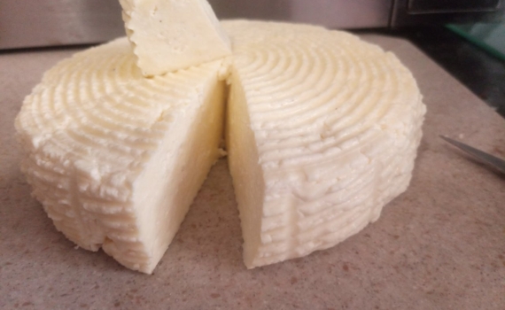 Секрет сыра Филадельфия за копейки: оставляю на ночь банку с молоком — утром семья в восторге Секрет сыра Филадельфия за копейки: оставляю на ночь банку с молоком — утром семья в восторге